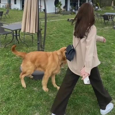 军官的一小时